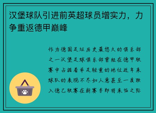 汉堡球队引进前英超球员增实力，力争重返德甲巅峰